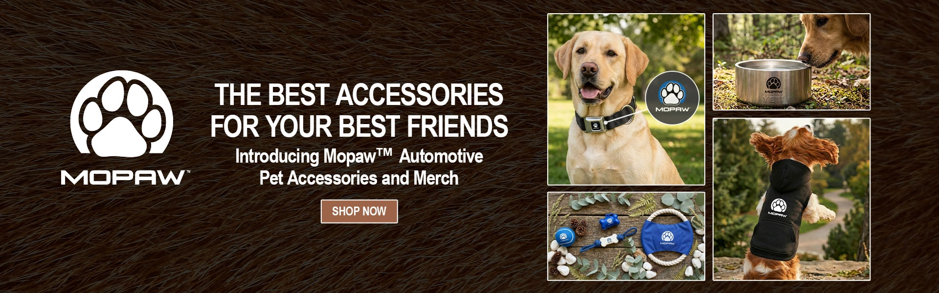 Shop Now